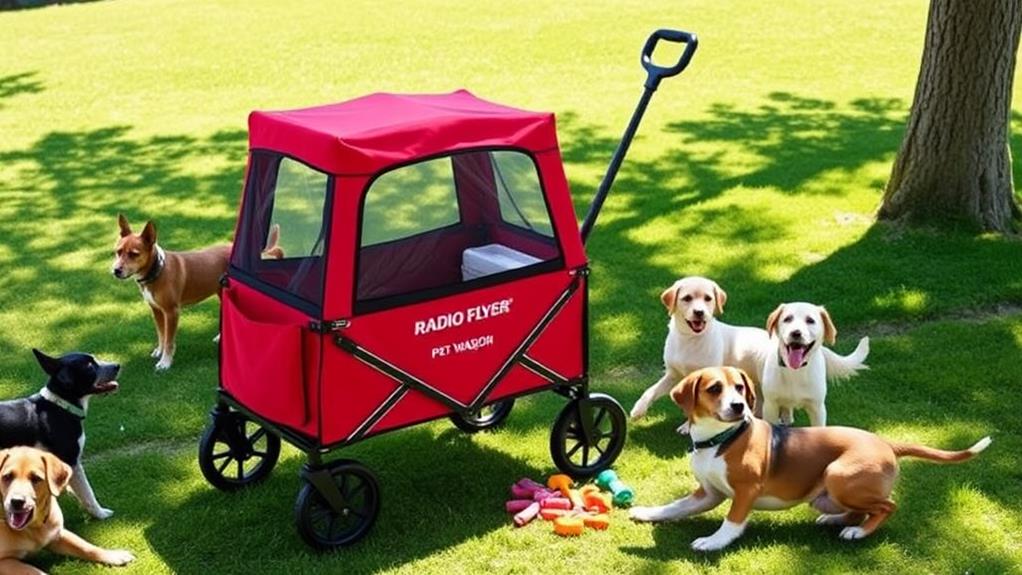 versatile pet transport solution